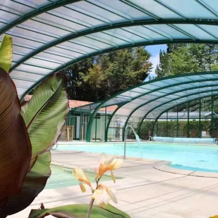 Zecamping 4 Etoiles Chiens Acceptes Bien-Etre Piscine Couverte