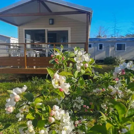 4 Etoiles - Piscine - Eecabc * Azur