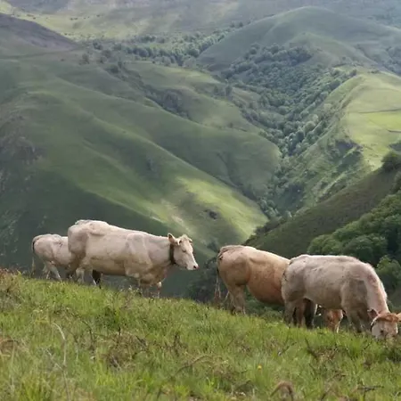 4 Etoiles - Piscine - Eecabc Kemping *