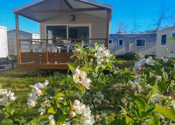 4 Etoiles - Piscine - Eecabc * Azur