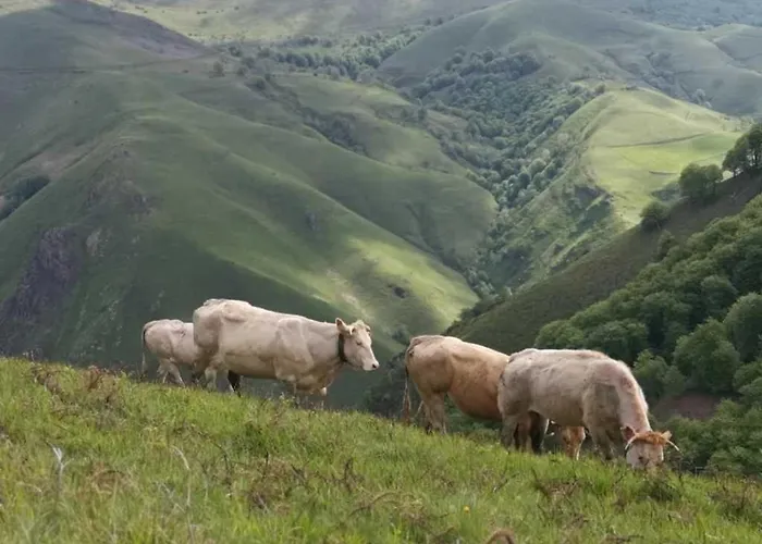 4 Etoiles - Piscine - Eecabc Camping *